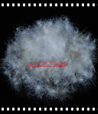 【鴨毛 羽絨供應(yīng)遼寧的好羽絨 羽絨】價格,廠家,圖片,羽毛、羽絨,安新縣大張莊北方羽絨制品銷售部-
