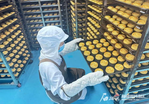 中秋佳節(jié)將至，烏魯木齊食品與羽絨制品企業(yè)雙線(xiàn)并進(jìn)迎忙季